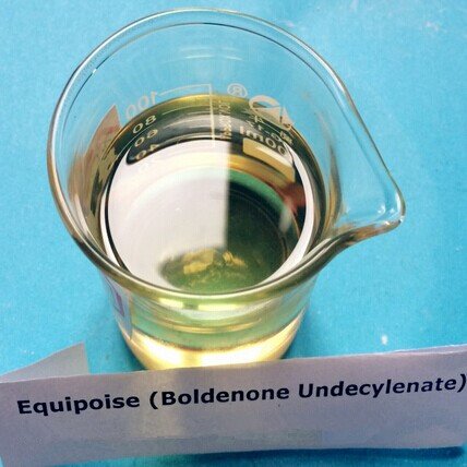 99% Purity 300/BU/EQ Bodybuilding Semi Finished Steroids oil 11