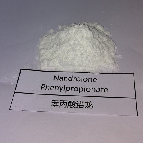 Buy Nandrolone Phenylpropionate Powder online 11