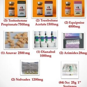 Intermediate Steroid Cycle III 11